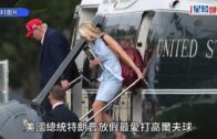 元朗狗咬狗｜涉事大狗「拉里」身世可憐 遭多次棄養恐人道處理 毛守願接收保命