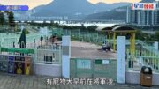 將軍澳毒狗疑雲｜警指目前不涉刑事：狗隻嘔吐物體液無常見毒物 地氈式搜索無發現