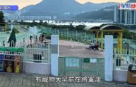 佛山網紅餐廳「拋火」追求效果狂灌96%烈酒 女博主雙手深二度燒傷｜有片