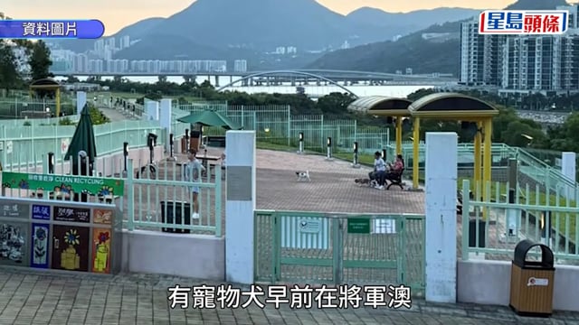 將軍澳毒狗疑雲｜警指目前不涉刑事：狗隻嘔吐物體液無常見毒物 地氈式搜索無發現