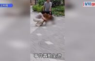 佛山網紅餐廳「拋火」追求效果狂灌96%烈酒 女博主雙手深二度燒傷｜有片