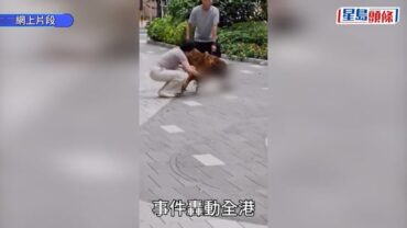 元朗邱屋村惡狗橫行 白貓被活活咬死 村民：已經有兩隻俾佢咬死咗