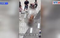 佛山網紅餐廳「拋火」追求效果狂灌96%烈酒 女博主雙手深二度燒傷｜有片
