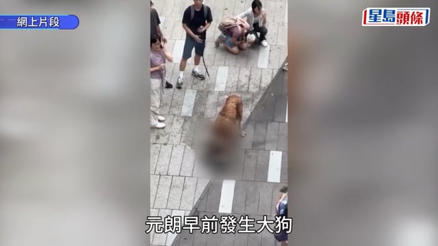 元朗狗咬狗｜漁護署指大狗「拉里」目前不會被人道處理