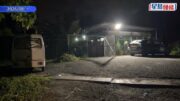 打鼓嶺狗咬死人｜殺人狗「太陽仔」為混種鬥牛㹴 長年被鐵鏈鎖住 獲狗義工救出