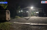 打鼓嶺狗咬死人｜殺人狗「太陽仔」為混種鬥牛㹴 長年被鐵鏈鎖住 獲狗義工救出