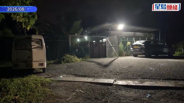 打鼓嶺狗咬死人｜殺人狗「太陽仔」為混種鬥牛㹴 長年被鐵鏈鎖住 獲狗義工救出
