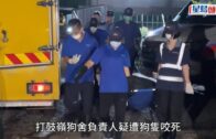 打鼓嶺狗咬人｜初步相信涉事狗隻混有格鬥犬品種 惟晶片顯示為唐狗 漁護署：會調查原因