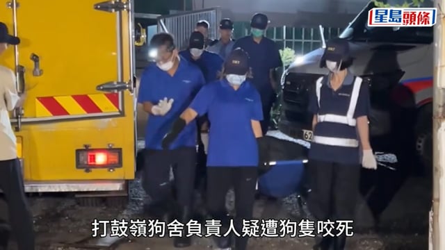 打鼓嶺狗咬人｜初步相信涉事狗隻混有格鬥犬品種 惟晶片顯示為唐狗 漁護署：會調查原因