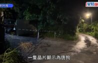 有片｜中環的士「打橫」困窄巷 司機救車20分鐘無果 網民：要向後bye