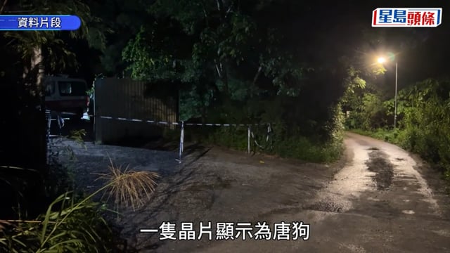 打鼓嶺狗咬人｜議員指狗隻走私及非法繁殖難執法 促強化源頭堵截