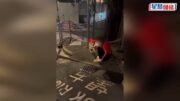 有片｜盂蘭節紅衫大媽燒衣 扔落高街鬼屋外渠道 網民憂沼氣爆炸