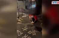 西藏泥石流︱兩冷血男岸邊撈屍發「死人財」 笑摘遺體金飾惹公憤遭捕︱有片