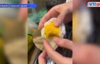 港男買芒果糯米糍驚見「連埋芒果皮」 店家死撐為保鮮「冇咁易爛」 網民嘲：不如連埋核？