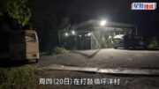 打鼓嶺狗咬死人｜30公斤唐狗入住狗舍僅10日 正待人領養詎料橫生慘劇