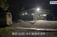 打鼓嶺狗咬死人｜30公斤唐狗入住狗舍僅10日 正待人領養詎料橫生慘劇
