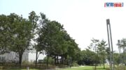 天氣極端酷熱｜天文台正午錄得多區氣溫達35°C 上水、元朗公園升至37°C