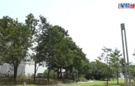 星島申訴王 | 港婦自稱白龍王信徒 甜品店派錢每人$500 9名食客「唔敢拎」 白龍王香港弟子親解謎團
