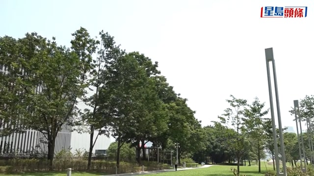 天氣極端酷熱｜天文台正午錄得多區氣溫達35°C 上水、元朗公園升至37°C
