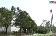 星島申訴王 | 港婦自稱白龍王信徒 甜品店派錢每人$500 9名食客「唔敢拎」 白龍王香港弟子親解謎團