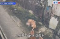 珍惜生命︱印度少年為iPhone與父親拉扯墮谷雙亡 母親睹悲劇跳崖陪死