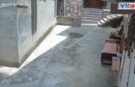 將軍澳寵物公園史賓格犬疑被毒斃 網民：係狗公園放毒等天收