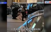 將軍澳寵物公園史賓格犬疑被毒斃 網民：係狗公園放毒等天收