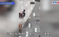 新皇崗口岸︱鄧炳強指兩次測試整體暢順 需改善指示牌、防止交匯處擠塞 10.1前趕及啟用？鄧：盡快