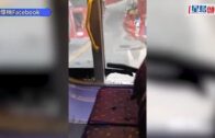 珍惜生命︱印度少年為iPhone與父親拉扯墮谷雙亡 母親睹悲劇跳崖陪死