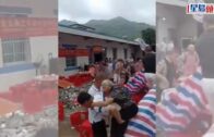 元朗狗咬狗｜涉事大狗「拉里」身世可憐 遭多次棄養恐人道處理 毛守願接收保命