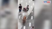 元朗狗咬狗｜52歲男狗主被控沒妥善管控大型狗隻 明天屯門法院提堂