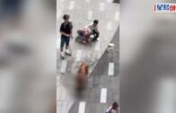 元朗狗咬狗｜涉事大狗「拉里」身世可憐 遭多次棄養恐人道處理 毛守願接收保命