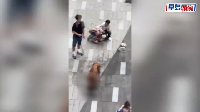元朗狗咬狗｜52歲男狗主被控沒妥善管控大型狗隻 明天屯門法院提堂