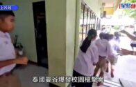 將軍澳寵物公園史賓格犬疑被毒斃 網民：係狗公園放毒等天收