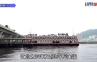 時事觀察—國凱：不作為的後果