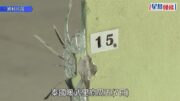 泰國校園槍擊｜增至9死 倖存老師憶生死瞬間：他想殺我剛好子彈用完