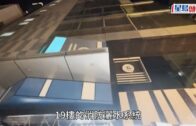 將軍澳寵物公園史賓格犬疑被毒斃 網民：係狗公園放毒等天收