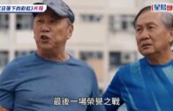 元朗狗咬狗｜涉事大狗「拉里」身世可憐 遭多次棄養恐人道處理 毛守願接收保命