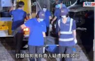 打鼓嶺狗咬死人｜死者Jojo身世曝光 做狗義工愛幫流浪狗 朋友：希望佢安息