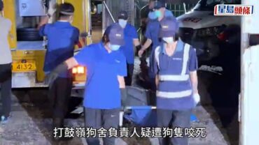 打鼓嶺狗咬死人｜死者Jojo身世曝光 做狗義工愛幫流浪狗 朋友：希望佢安息