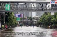 星島申訴王 | 全球噁心食物香港展出 記者挑戰兩大魔王級臭魚 策展人冀帶出對食物反思