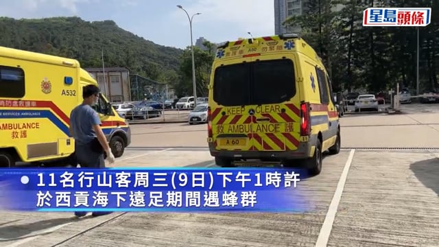 西貢海下11人行山遇蜂群 2男遭螫傷送院