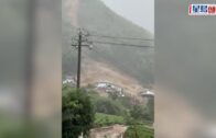 第五屆三藩市華埠車展強勢回歸！百萬超跑、2026頂級Lamborghini與古董名車重磅亮相｜星島會客室
