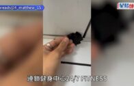 24/7藏針孔攝錄機｜被捕窺淫男為地盤工頭 警恢復多段影片