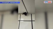 「24/7 FITNESS」健身中心更衣室驚現3個針孔攝錄鏡頭 警列窺淫跟進
