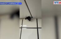 港大高桌晚宴「搵笨」？ $500清真餐竟是快餐店外賣 事主：最多只值約$80 「原以為會更有體面」