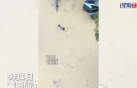 香港快運曼谷返港航班遭「機艙老鼠」搜掠 內地農夫涉偷2.5萬泰銖 乘客拍片舉報人贓並獲