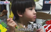保良局「從武愛到有愛」環保袋設計比賽 網民狠批美化家暴武器 官方宣布取消活動：汲取經驗