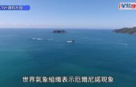 城大Ｏcamp ｜校方表示已完成調查 涉事學生承認錯誤致歉 並接受校方紀律處分