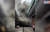 第五屆三藩市華埠車展強勢回歸！百萬超跑、2026頂級Lamborghini與古董名車重磅亮相｜星島會客室